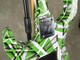 Washburn Lion - Green Stripe - 2nd Hand Washburn Lion - Green Stripe - 2nd Hand