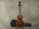 Vintage Guitars Viator Electro-Acoustic - Natural w/Gig Bag - 2nd Hand