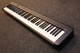 Casio CDP-S100 Keyboard w/PSU & Rest - 2nd hand - 2nd Hand