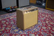 Fender Chris Stapleton Princeton - Cover **COLLECTION ONLY** - 2nd Hand
