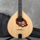Blue Moon Irish Bouzouki - Gig Bag - 2nd Hand