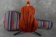 Ibanez PNB14E-OPN Acoustic Bass - Natural - Gig Bag - 2nd Hand