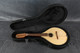 Ashbury Style S Deluxe Celtic Mandolin - Hard Case - 2nd Hand Ashbury Style S Deluxe Celtic Mandolin - Hard Case - 2nd Hand