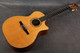 Taylor NS34CE Classical Nylon Electro Acoustic Guitar - Hard Case - 2nd Hand Taylor NS34CE Classical Nylon Electro Acoustic Guitar - Hard Case - 2nd Hand
