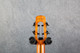 Flight Fireball Tenor EQ-A All Solid Ukulele - Hard Case - 2nd Hand Flight Fireball Tenor EQ-A All Solid Ukulele - Hard Case - 2nd Hand