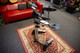 Roland HD-1 V-Drums Lite - PSU - 2nd Hand Roland HD-1 V-Drums Lite - PSU - 2nd Hand