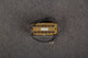 Seymour Duncan Psyclone Hot Neck Pickup - Boxed - 2nd Hand Seymour Duncan Psyclone Hot Neck Pickup - Boxed - 2nd Hand