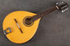 Paul Hathway electric Mandolin Spruce Top - Rosewood Back and Sides - Gig Bag - 2nd Hand