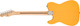Squier Sonic Telecaster - Butterscotch Blonde
