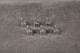 Fender Machine Heads Set of 6 - 2nd Hand Fender Machine Heads Set of 6 - 2nd Hand