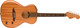 Fender Highway Series Parlor - All-Mahogany