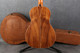 Vintage Viator Paul Brett 12 String Travel Electro Acoustic - Case - 2nd Hand