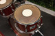 Rogers XP8 Maple Kit Trans Red **COLLECTION ONLY** - 2nd Hand