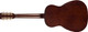 Gretsch Jim Dandy Parlor - Rex Burst
