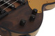 Schecter Model-T 4 Exotic Ziricote - Natural Satin