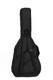 Sigma SB-D Gig Bag