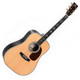 Sigma Standard Series DT-41 Acoustic Guitar