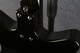 Danelectro 59M Spruce F-Hole - Charcoal - 2nd Hand Danelectro 59M Spruce F-Hole - Charcoal - 2nd Hand