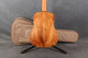 Taylor Baby Tayor BTe-Koa - Natural - Gig Bag - 2nd Hand Taylor Baby Tayor BTe-Koa - Natural - Gig Bag - 2nd Hand