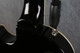 Epiphone Les Paul Muse - Wanderlust Metallic Green - 2nd Hand Epiphone Les Paul Muse - Wanderlust Metallic Green - 2nd Hand