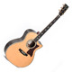 Sigma Special Edition SGRC-41E Electric Acoustic Guitar