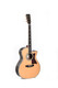 Sigma Special Edition SGRC-41E Electric Acoustic Guitar