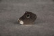 Hipshot BT1 Bass Xtender - Nickel - Boxed - 2nd Hand