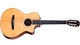 Taylor 212ce-N Plus