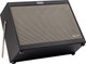 Fender Tone Master FR-212