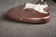 Squier FSR Affinity Jazzmaster - Burgundy Mist - 2nd Hand Squier FSR Affinity Jazzmaster - Burgundy Mist - 2nd Hand