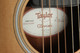 Taylor GS Mini Rosewood - ES-Go Pickup - 2nd Hand
