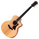 Taylor 14ce