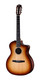 Taylor Sunset Boulevard 214ce-N Plus SEB