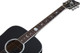 Schecter Robert Smith RS-1000 Stage Acoustic - Gloss Black