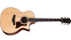 Taylor Next Generation 314ce