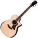 Taylor Next Generation 814ce