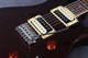 PRS SE Standard 24 Limited Edition - Cola Metallic - 2nd Hand