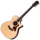 Taylor Next Generation 414ce