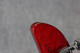 Gibson Explorer T 2016 - Cherry - 2nd Hand