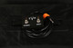 EVH 5150 Iconic Series 80W EL34 Valve Amp Head - Footswitch - 2nd Hand