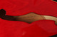 Epiphone ES-339 - Cherry - 2nd Hand (170173)