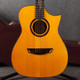 Cort Luxe Frank Gambale Signature - 2nd Hand