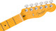 Fender American Professional HotShot Telecaster - Aged Cherry Burst