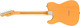 Fender American Professional Telecaster - Butterscotch Blonde