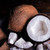 Suns Eye Coconut Herbal Fragrance Oil - 1/2 Ounce Bottle