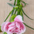 Suns Eye Carnation Herbal Fragrance Oil - 1/2 Ounce Bottle