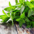 Suns Eye Peppermint Herbal Fragrance Oil - 1/2 Ounce Bottle