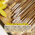 Wild Berry Honeysuckle Incense Sticks, 100 Count Hand-Dipped Aromatic Incense