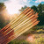 Wild Berry Sunshine Incense Sticks, 100 Count Hand-Dipped Aromatic Incense
