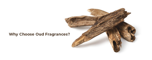 Why Choose Oud Fragrances?